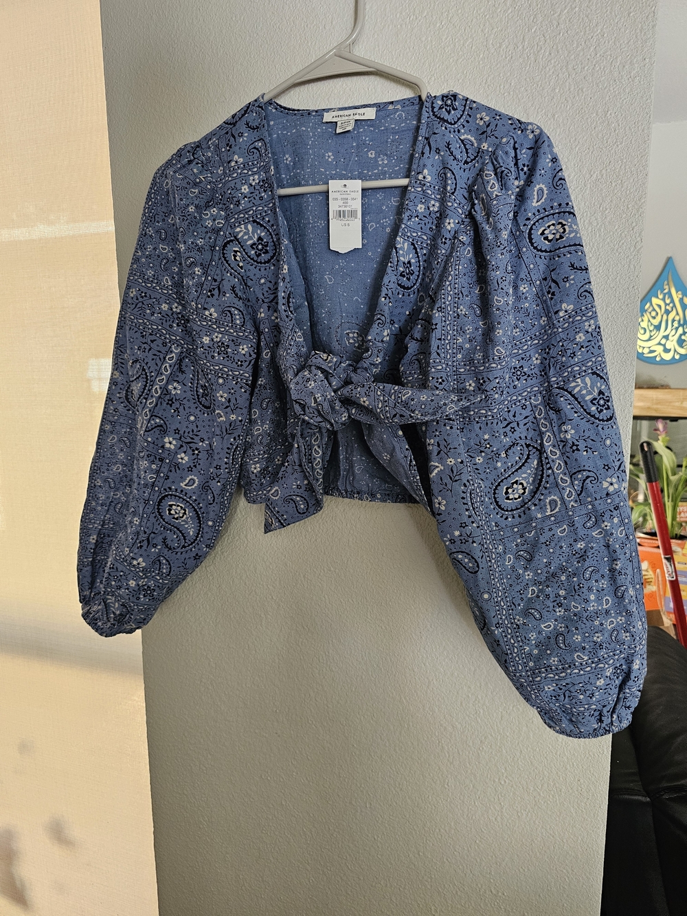 Blue Bandana Print Tie-Front Crop Top